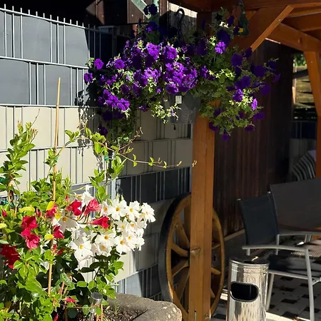 Апартаменты Abendsonne Nr5 *